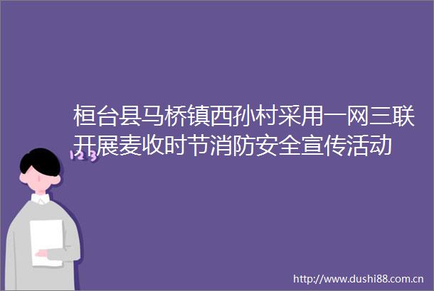 桓台县马桥镇西孙村采用一网三联开展麦收时节消防安全宣传活动