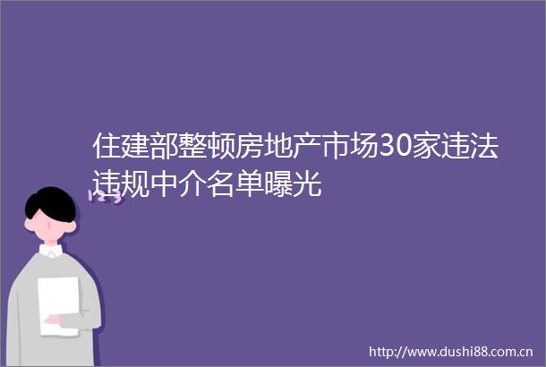 住建部整顿房地产市场30家中介名单