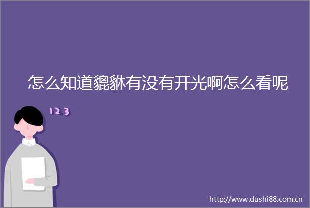 怎么知道貔貅有没有开光啊怎么看呢
