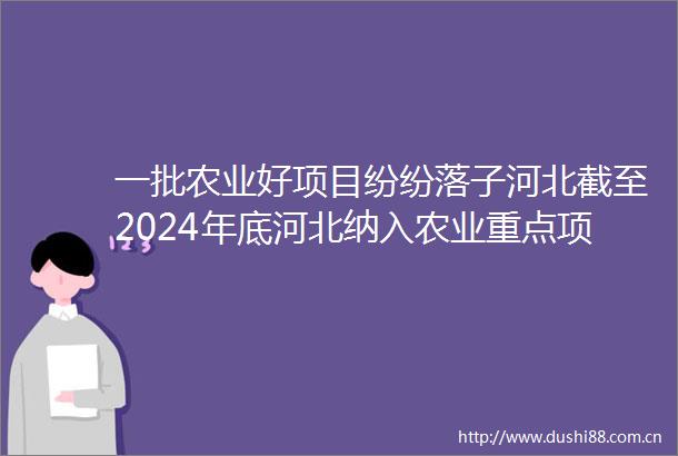 一批农业好项目纷纷落子河北截至2024年底河北纳入农业重点项目平台项目3124个