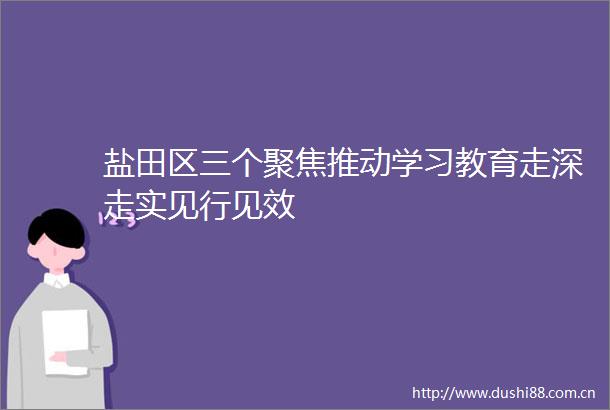 盐田区三个聚焦推动学习教育走深走实见行见效