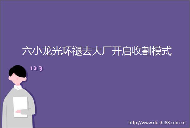 六小龙光环褪去大厂开启收割模式