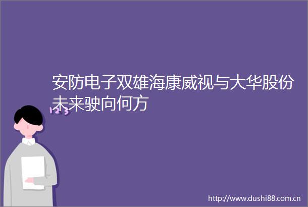 安防电子双雄海康威视与大华股份未来驶向何方