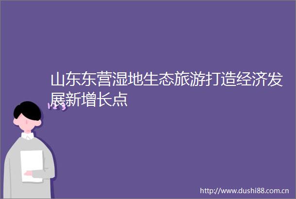 山东东营湿地生态旅游打造经济发展新增长点