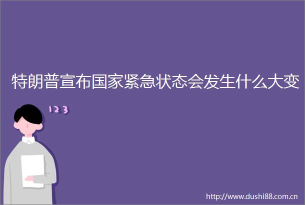 特朗普宣布紧急状态会发生什么大变