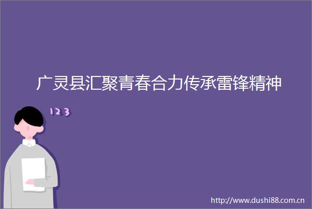 广灵县汇聚青春合力传承雷锋精神