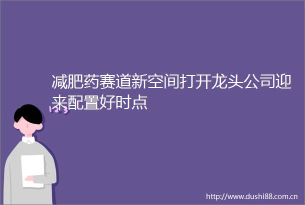 减肥药赛道新空间打开龙头公司迎来配置好时点
