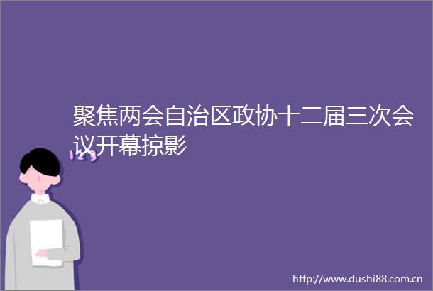 聚焦两会自治区政协十二届三次会议开幕掠影