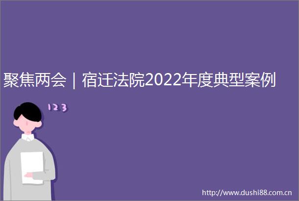 聚焦两会｜宿迁2022年度典型案例