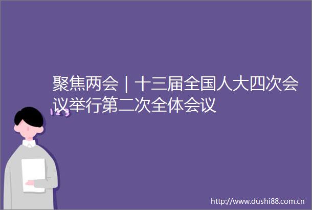 聚焦两会｜十三届全国人大四次会议举行第二次全体会议