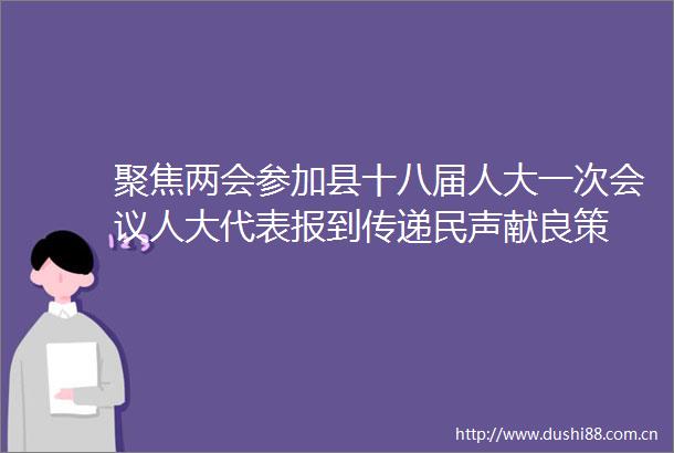 聚焦两会参加县十八届人大一次会议人大代表报到传递民声献良策