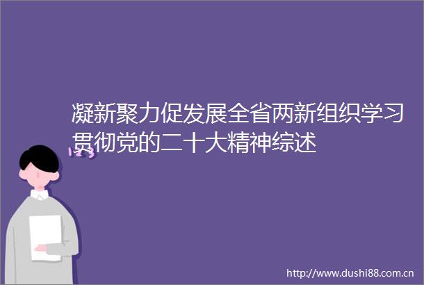 凝新聚力促发展全省两新组织学习贯彻党的二十大精神综述