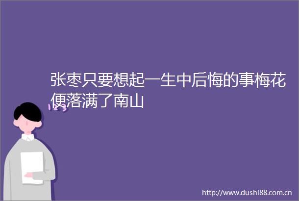 张枣只要想起一生中后悔的事梅花便落满了南山