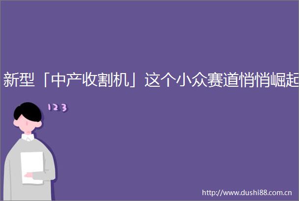 新型「中产收割机」这个小众赛道悄悄崛起