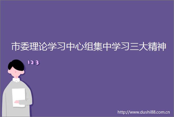 市委理论学习中心组集中学习三大精神