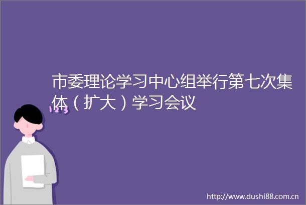市委理论学习中心组举行第七次集体（扩大）学习会议