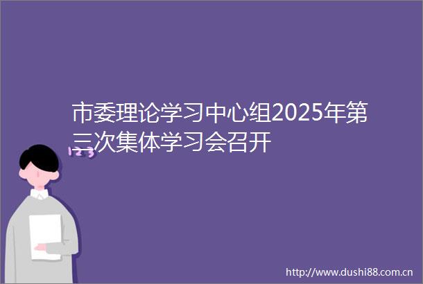 市委理论学习中心组2025年第三次集体学习会召开