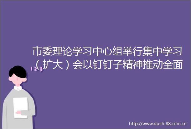 市委理论学习中心组举行集中学习（扩大）会以钉钉子精神推动全面深化改革任务落细落实为整体提升环境建功支点建设注入更强动能