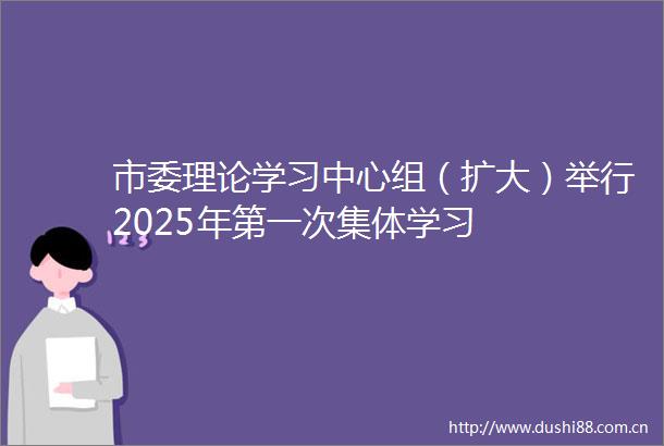 市委理论学习中心组（扩大）举行2025年第一次集体学习