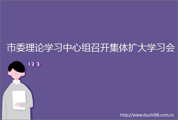 市委理论学习中心组召开集体扩大学习会
