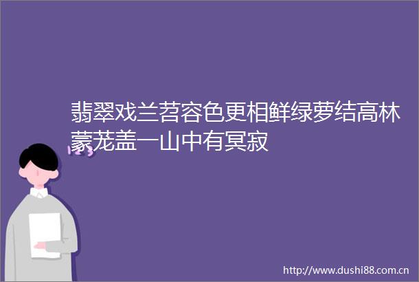 翡翠戏兰苕容色更相鲜绿萝结高林蒙茏盖一山中有冥寂