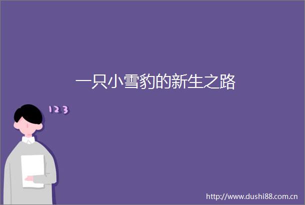 一只小雪豹的新生之路