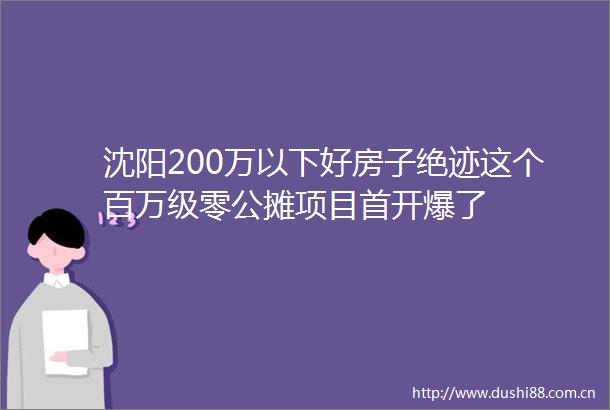沈阳200万以下好房子绝迹这个百万级零公摊项目首开爆了