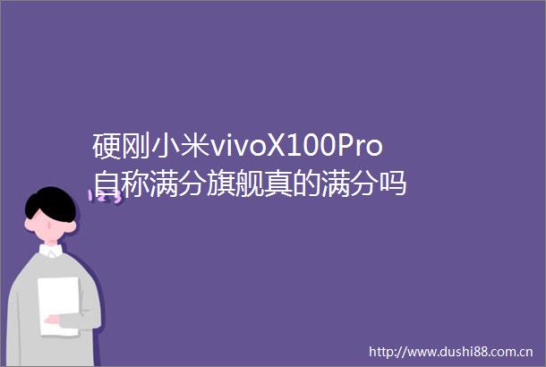 硬刚小米vivoX100Pro自称满分旗舰真的满分吗