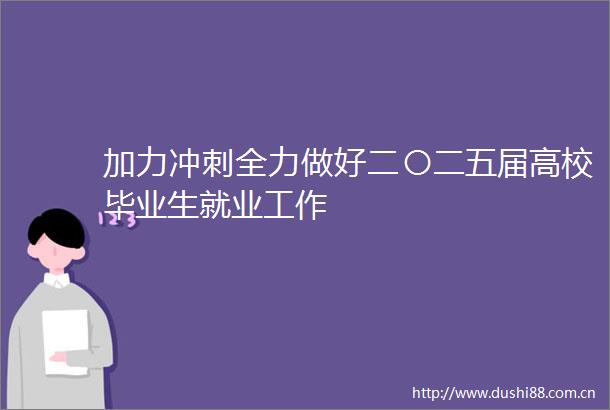 加力冲刺全力做好二〇二五届高校毕业生就业工作