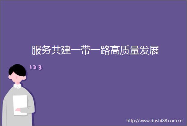 服务共建一带一路高质量发展