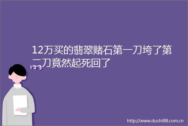12万买的翡翠赌石第一刀垮了第二刀竟然起死回了