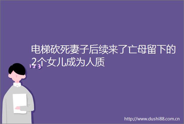 电梯砍死妻子后续来了亡母留下的2个女儿成为人质