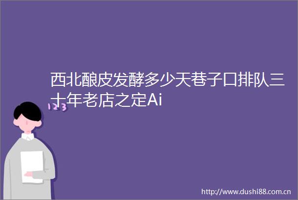 西北酿皮发酵多少天巷子口排队三十年老店之定Ai