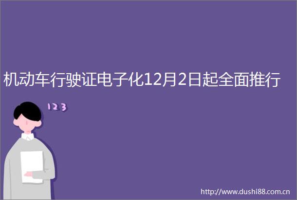 机动车行驶证电子化12月2日起全面推行