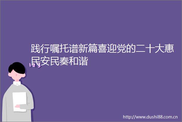 践行嘱托谱新篇喜迎党的二十大惠民安民奏和谐