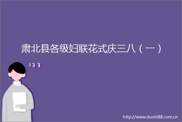 肃北县各级妇联花式庆三八（一）