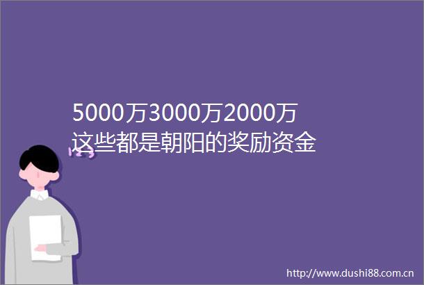 5000万3000万2000万这些都是朝阳的奖励资金