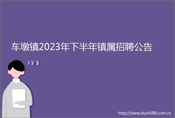 车墩镇2023年下半年镇属招聘公告