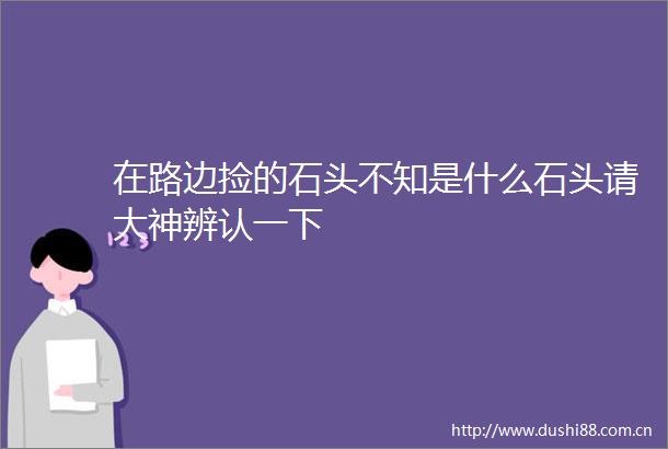 在路边捡的石头不知是什么石头请大神辨认一下