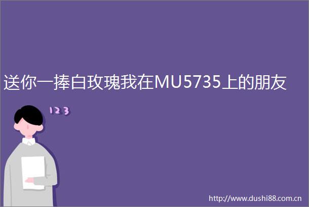 送你一捧白玫瑰我在MU5735上的朋友