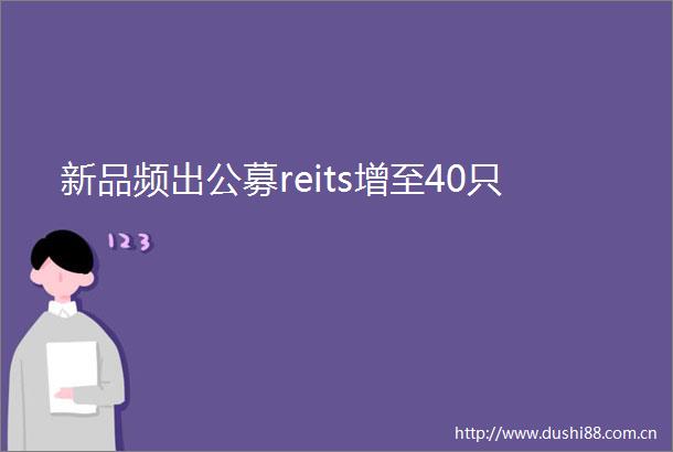 新品频出公募reits增至40只