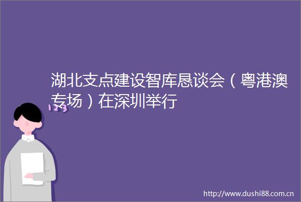 湖北支点建设智库恳谈会（粤港澳专场）在深圳举行