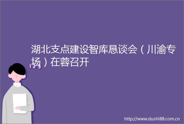 湖北支点建设智库恳谈会（川渝专场）在蓉召开