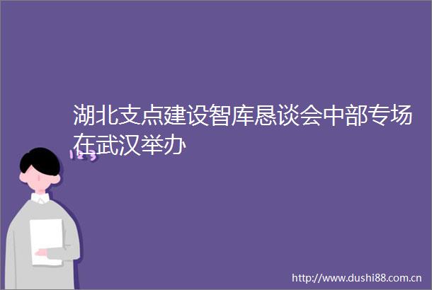 湖北支点建设智库恳谈会中部专场在武汉举办