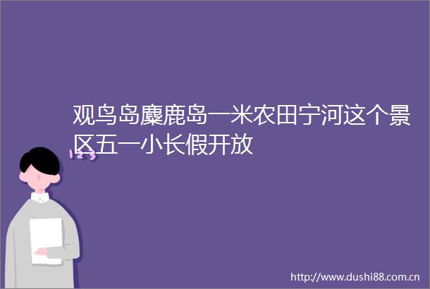 观鸟岛麋鹿岛一米农田宁河这个景区五一小长假开放
