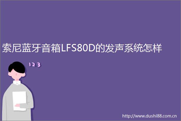索尼蓝牙音箱LFS80D的发声系统怎样