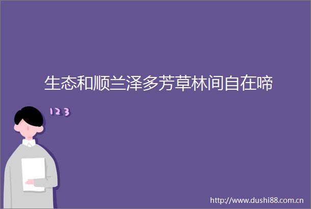 生态和顺兰泽多芳草林间自在啼