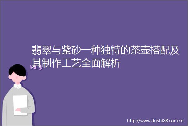 翡翠与紫砂一种独特的茶壶搭配及其制作工艺全面解析