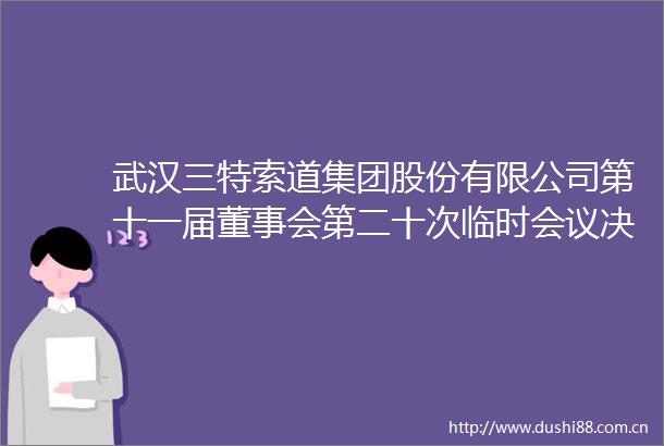 武汉三特索道集团股份有限公司第十一届董事会第二十次临时会议决议公告