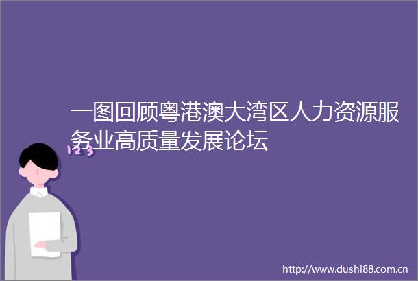 一图回顾粤港澳大湾区人力资源服务业高质量发展论坛